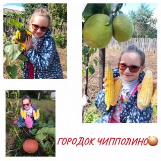 Городок Чиполино