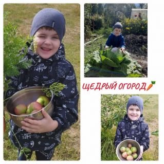 Щедрый огород