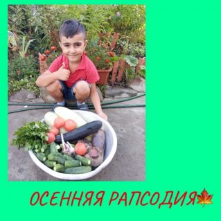 Осенняя рапсодия