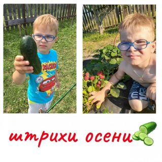 Штрихи осени