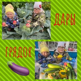 Дары грядок
