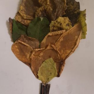 Осенняя фантазия