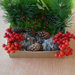 Осенняя поляна