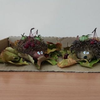 Колючие ребята