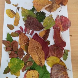 Мастерская осенних поделок