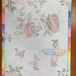 Наши пернатые друзья