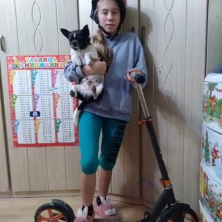 Безопасность на дорогах