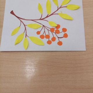 Ветка рябины.