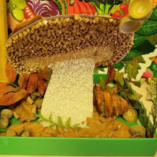 На лесной полянке