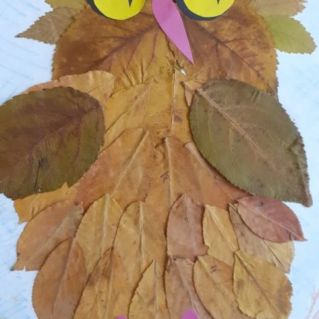 композиция "СОВА"