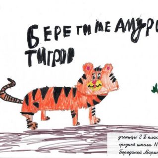 Берегите амурских тигров