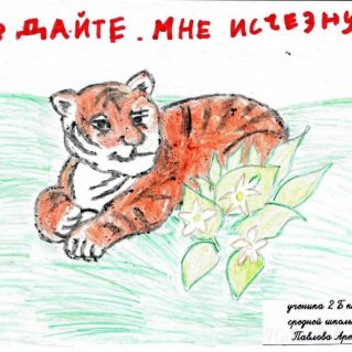 Не дайте мне исчезнуть