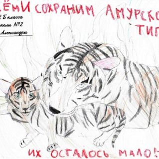 Спасем и сохраним амурского тигра