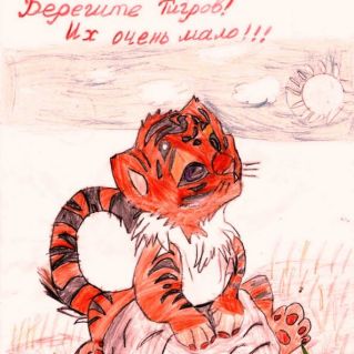 Берегите тигров!