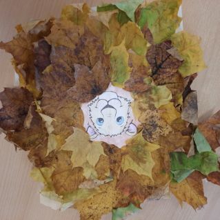 Львенок в осени