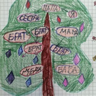 Дерево моей семьи
