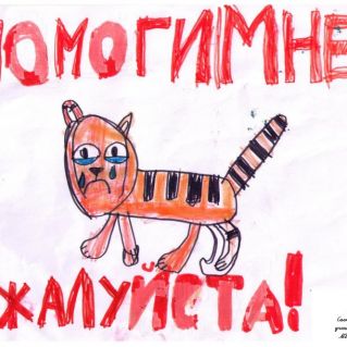 Защитим амурского тигра!