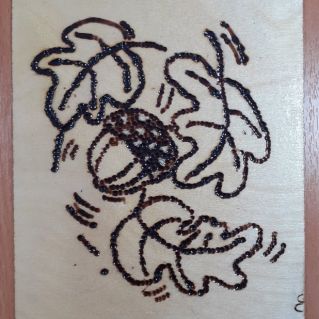 "Желудёвый запас"