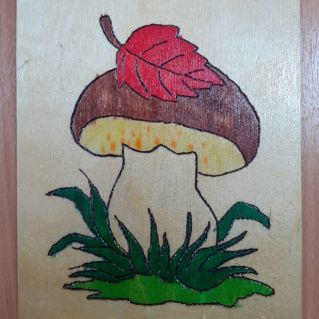 "Боровичок"