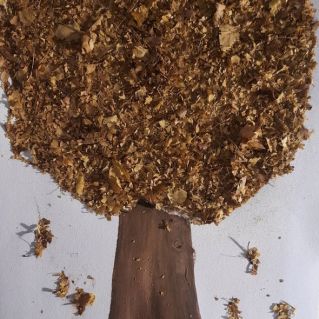 Золотая осень