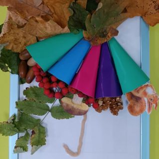 Запасы для белочки