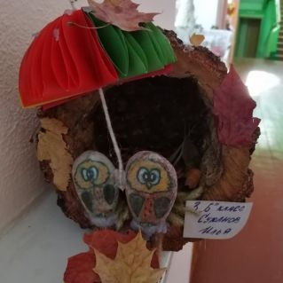 "Лесное чудо"