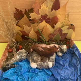 У берегов Камчатки