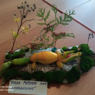 "Крокодильчик"