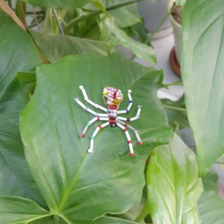 Паучок Вася