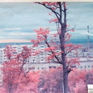 Осень в деревне