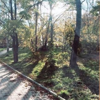 Красота осени