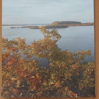 Осень на Амуре