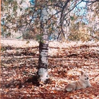 Мой любимый друг