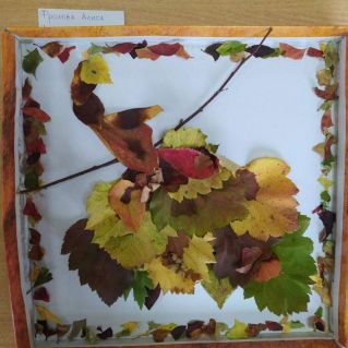 "Жар - птица"