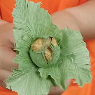 Подарок от белочки