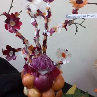 "Луковая сакура"