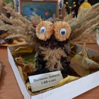 Ночная сова