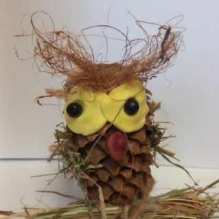 Сова - умная голова