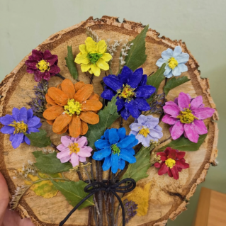 Красочные шишки