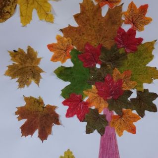 Осеннее дерево