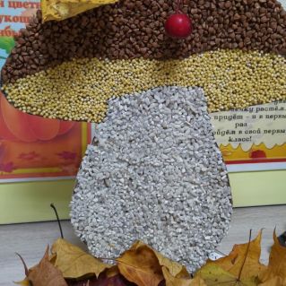 Гриб Боровик