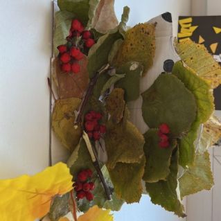 Лесной гость