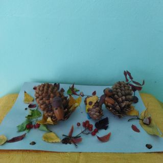 Утки на прогулке