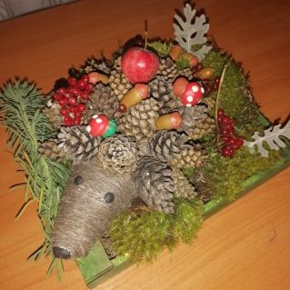 "Запасливый ёжик"