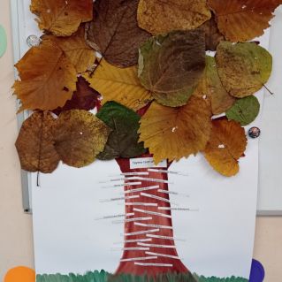 "Дерево дружбы"