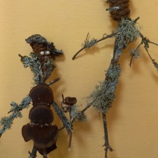 "Лесные человечки"