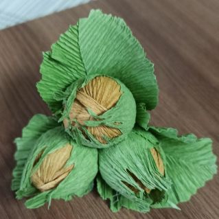 Лесные орешки