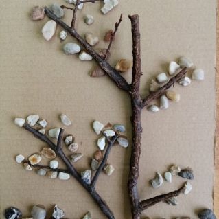 Чудесное дерево