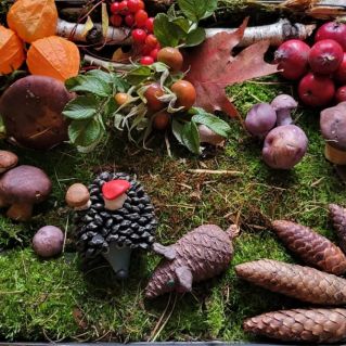 "Лесная сказка"