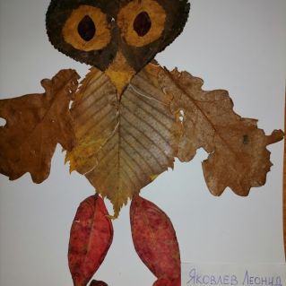 Совушка - Сова